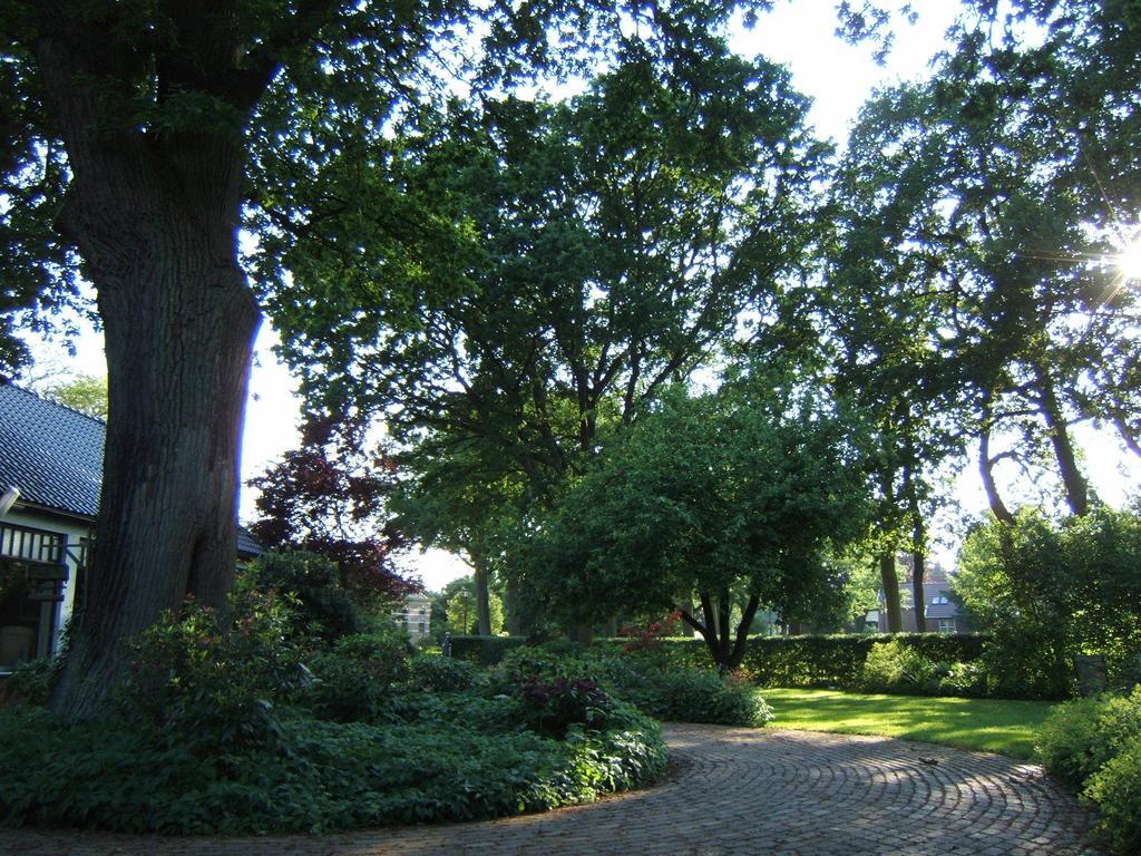 B&B"De Hassehof" Sellingen 外观 照片