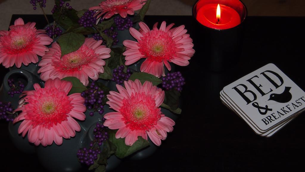 B&B"De Hassehof" Sellingen 客房 照片