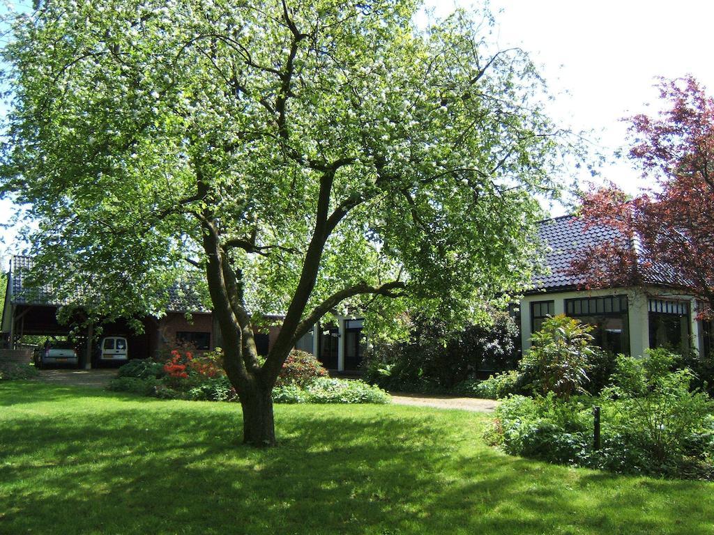 B&B"De Hassehof" Sellingen 外观 照片